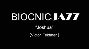 Joshua Victor Feldman